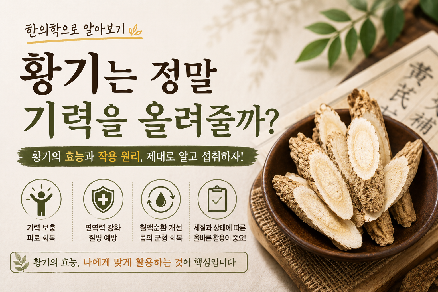 황기는 정말 기력을 올려줄까?